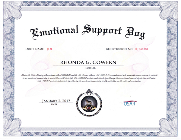 usar emotional support dog