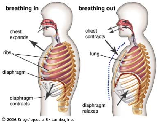 Breathe easier at Moab Physical Therapy